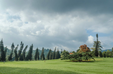 Royal Botanical garden Peradeniya. Sri Lanka