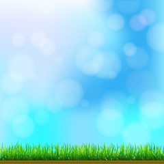 Fototapeta na wymiar Natural Green Grass Background with Focus and Bokeh