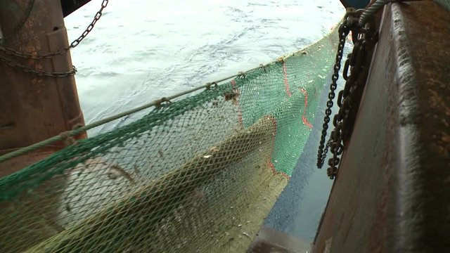 Rise of the trawl to the vessel