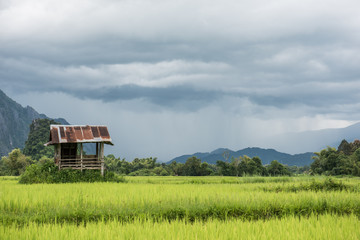 Old Hut in The Field