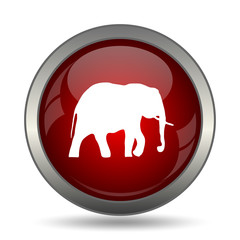 Elephant icon