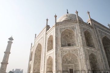 Fototapeta na wymiar Beautiful Artwork in Taj Mahal