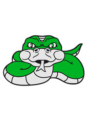 angry dangerous snake constrictor comic cartoon design