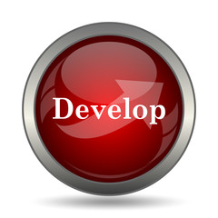 Develop icon