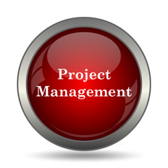 Project management icon
