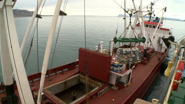 Unloading of fish from the fishing trawler on the transport vessel