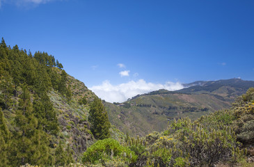 Naklejka na ściany i meble Gran Canaria, Caldera de Tejeda in May