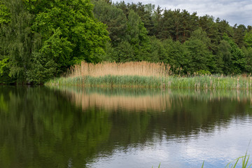 quiet pond in spring