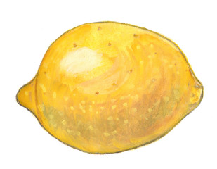Watercolor illustration of yellow lemon 