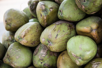 Pile of Green Coconuts