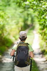 Little boy walking alone in forest, France