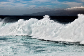 Naklejka premium Surf's up in Tenerife