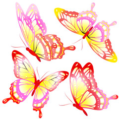 butterflies design