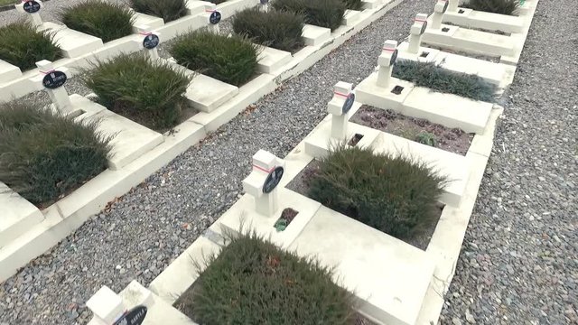 Polish Grave in Lviv. White Crosses and Flowers on the Graves. the Camera Flies Over the Graves of Those Killed in the War Poles. the Crosses Are Decorated With Penta Polish Flag. Grey Sad Weather.