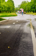 Fototapeta premium wet pavement on a rainy day