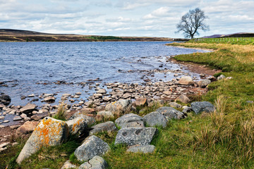 Fototapeta na wymiar View of Lochindorb