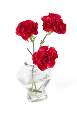 three red carnations on crystal vase
