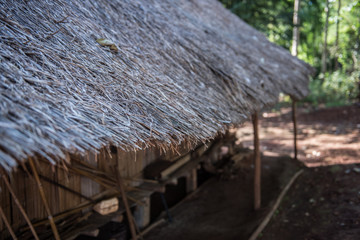 Fototapeta na wymiar Small hut in a Village