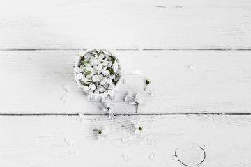 apple flowers in cup on wooden white background