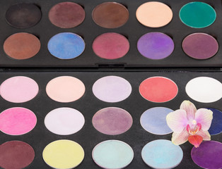 Palette  colorful eye shadow with orchid flower on  black background.