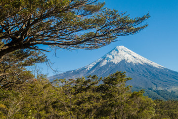 Obraz premium Volcano Osorno in National Park Vicente Perez Rosales, Chile