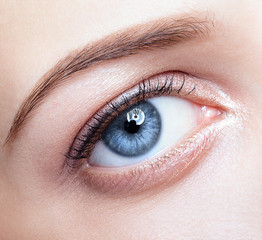 Fototapeta premium female eye zone and brows with day makeup