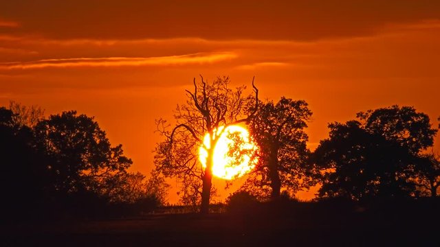 dramatic red sunset behind woodland time lapse - Shropshire, England: May 15th 2016