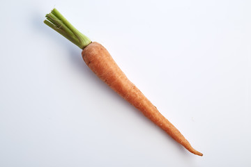 Fototapeta premium Carrot vegetable