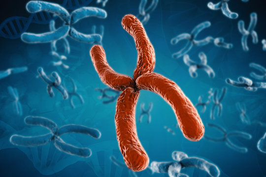 red and blue chromosomes on blue background
