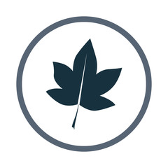 Obraz premium Tree leaf icon