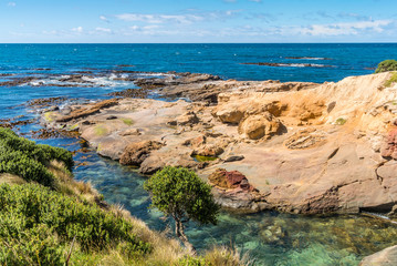 New Zealand colorful coast landscape