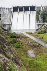 Fototapeta na wymiar Open water Gates in Neyyar Dam