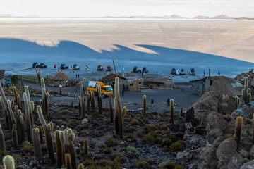 Early morning on Isla Incahuasi (Isla del Pescado) in Salar de Uyuni salt flat withTrichoreus cactus, Bolivia