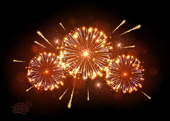 Obraz premium Vector holiday fireworks