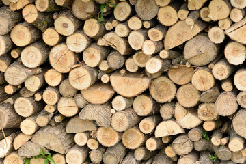 Firewood