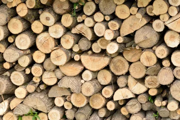 Möbelaufkleber Firewood © gheturaluca