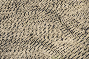 marks made by 4x4 vehicles using the beach as a road