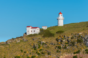 Fototapeta na wymiar Taiaroa Head Lighthouse - New Zealand