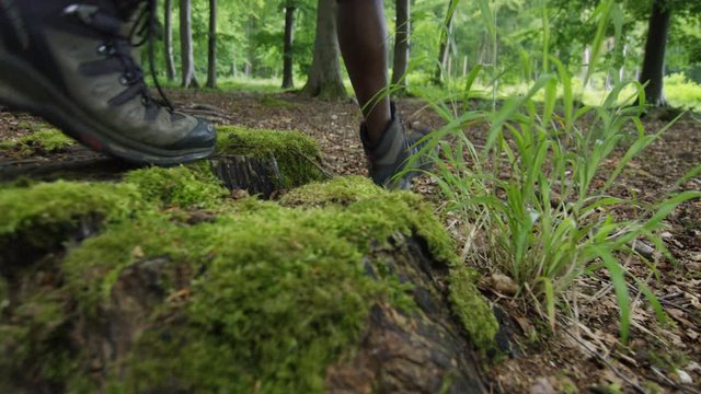  Low angle view, the feet of unrecognisable man hiking on his own in the woods