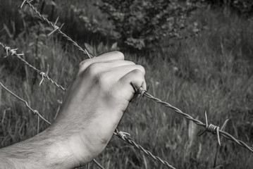 Tortured hand grasping desperately barbed wire