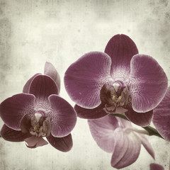 textured old paper background with