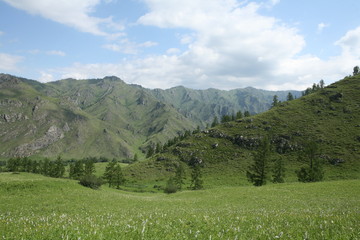 Fototapeta na wymiar Altai region Russia mountain landscapes
