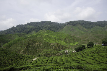 Fototapeta premium tilt shift effect from aerial view, group of car park at garden. hill and cloudy sky background