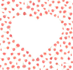 Pink flower petals in shape of heart isolated on white background