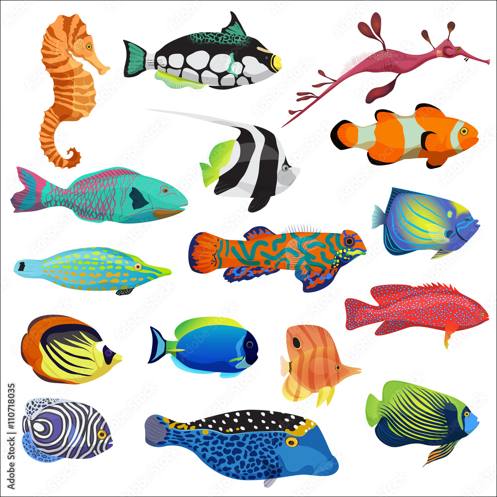 Wall mural Exotic colorful tropical fish fishes collection set isolated.