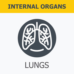 Internal organs - lungs. Medical infographic icons, human organs, body anatomy. Vector icons of internal human organs Flat design. Internal organs icons.