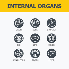 Internal organs set. Medical infographic icons, human organs, body anatomy. Vector icons of internal human organs Flat design. Internal organs icons. Internal organs icons art.