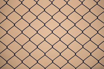 Fototapeta premium Wall