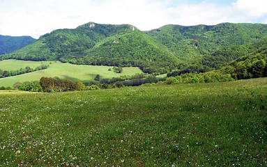 Tafelkleed flowering spring meadow with partly rocky hills on the background in Strazovske vrchy mountains near Ladce village in Slovakia © honza28683