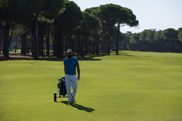 Obraz premium golf player walking with wheel bag